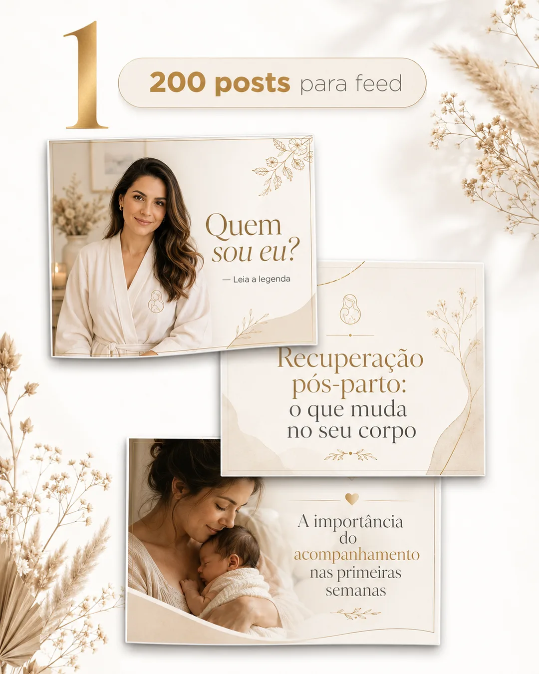 Conteúdo do pack 4