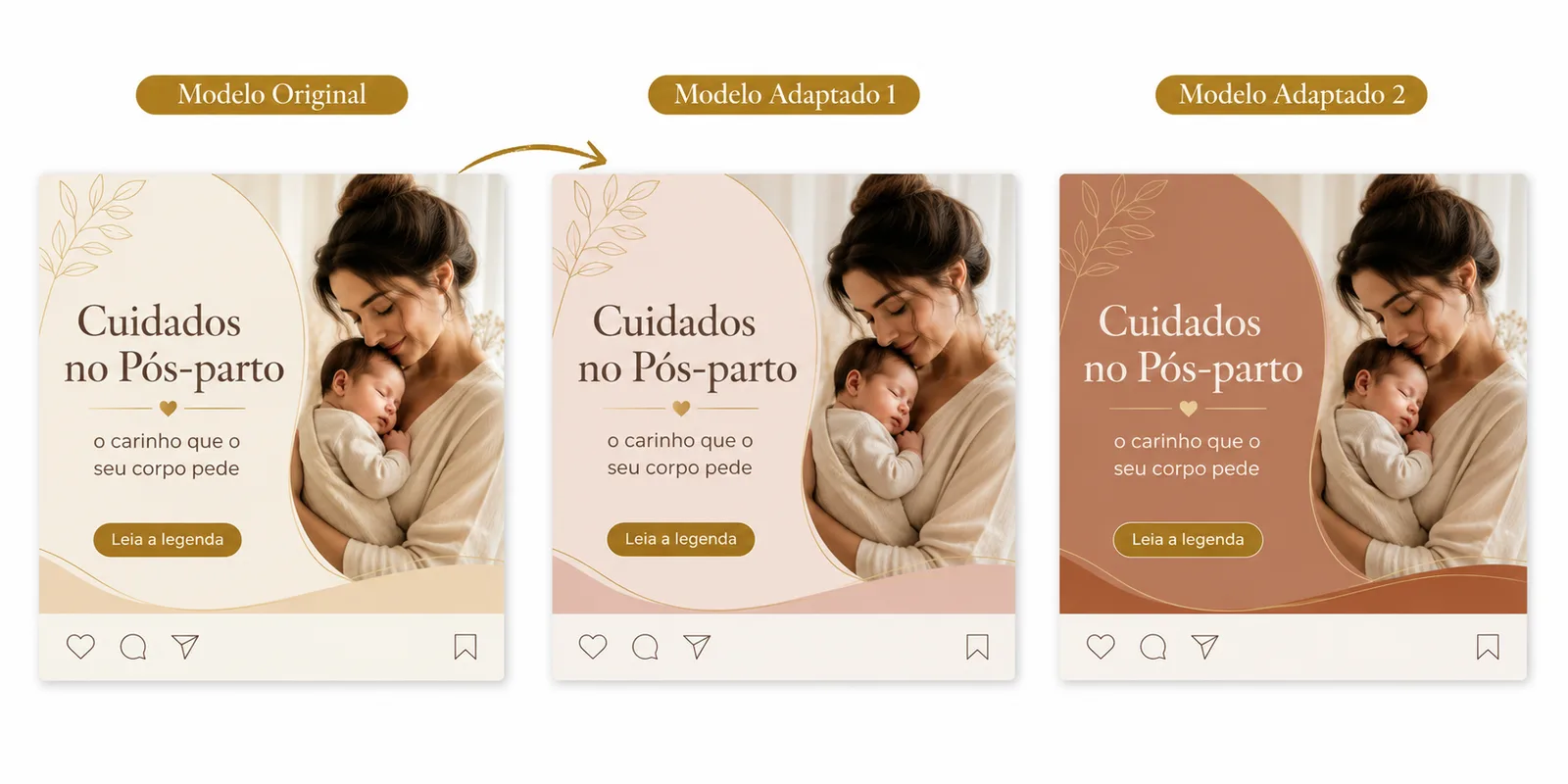 Modelo original e versões adaptadas 2